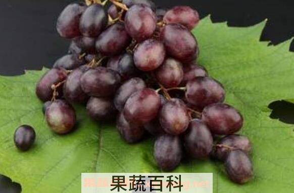 葡萄皮可以吃吗 吃葡萄皮的好处和坏处