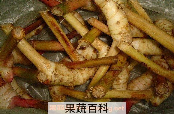 南姜