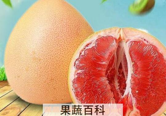 红西柚的功效与作用