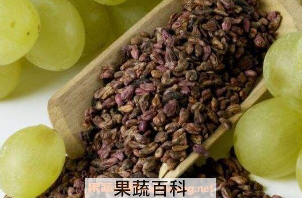 葡萄籽的功效与作用及食用禁忌