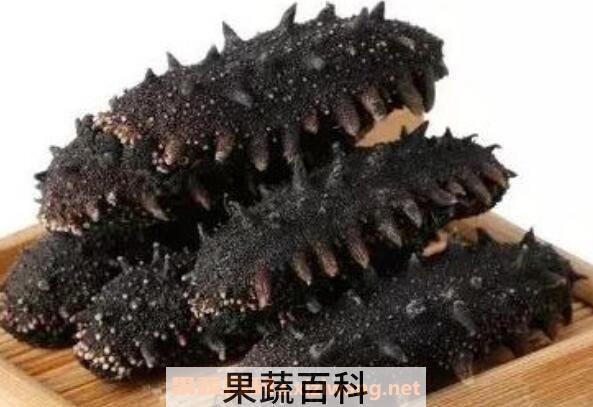 刺海参的功效与作用