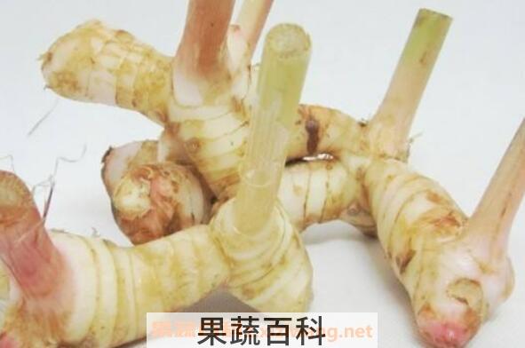 生姜和南姜有什么不同 南姜怎么吃