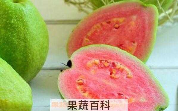 番石榴怎么吃 番石榴的吃法图解教程