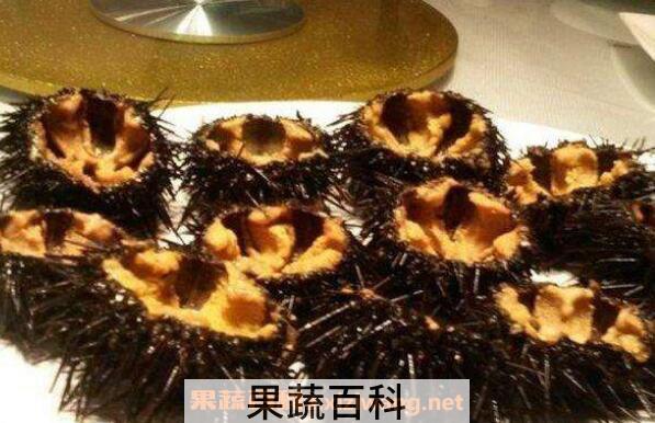 为什么海胆弄开没有黄 海胆没有黄怎么处理