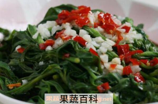面条菜怎么炒好吃 面条菜怎么做好吃