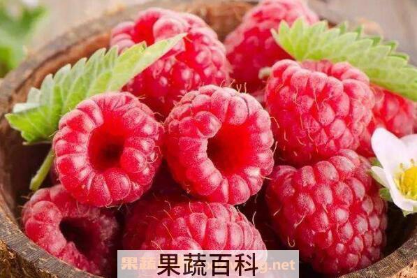 树莓的作用与副作用 树莓的食用禁忌