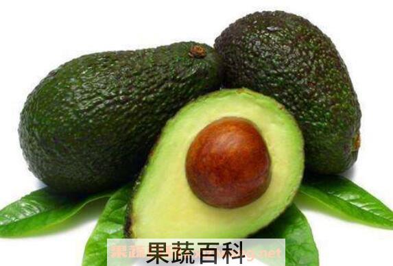 牛油果油如何食用 牛油果油怎么吃