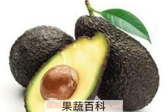 牛油果油如何食用 牛油果油怎么吃