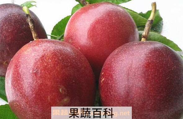 孕妇可以吃百香果吗 孕妇吃百香果有什么好处
