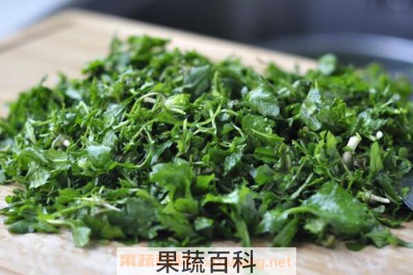 荠菜的功效与作用 荠菜的食用禁忌