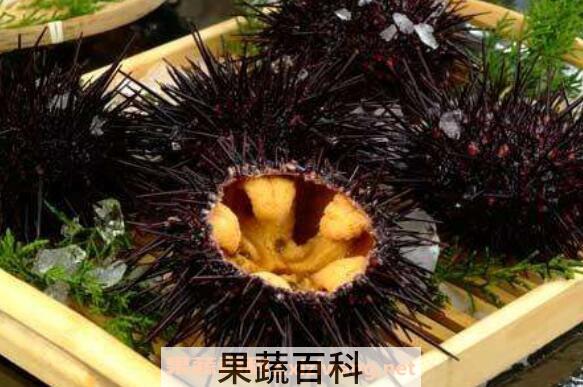 新鲜的海胆怎么处理 海胆怎么处理无毒