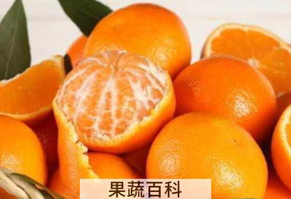 桔子的功效与作用有哪些