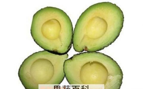 什么人不能吃牛油果吃牛油果有什么禁忌 哪些人不能吃牛油果 吃牛油果禁忌的食物