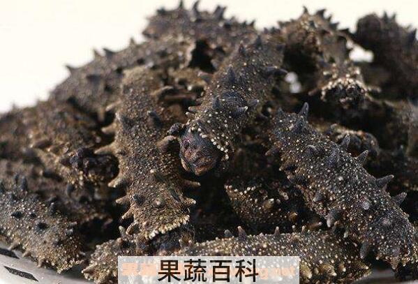 辽参的营养价值 吃辽参的好处