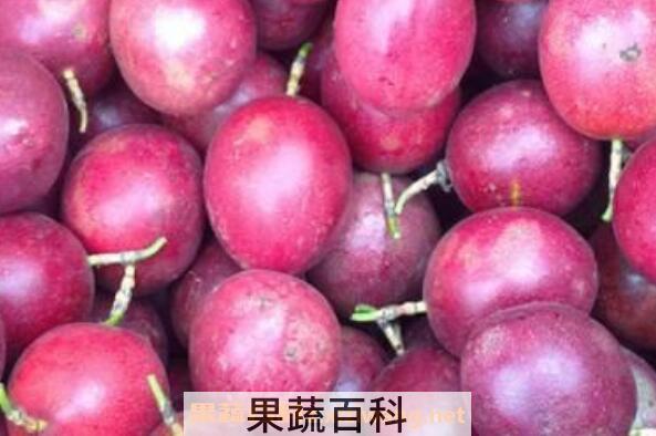 百香果如何保存 百香果怎么保存会更久