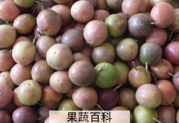 百香果如何保存 百香果怎么保存会更久