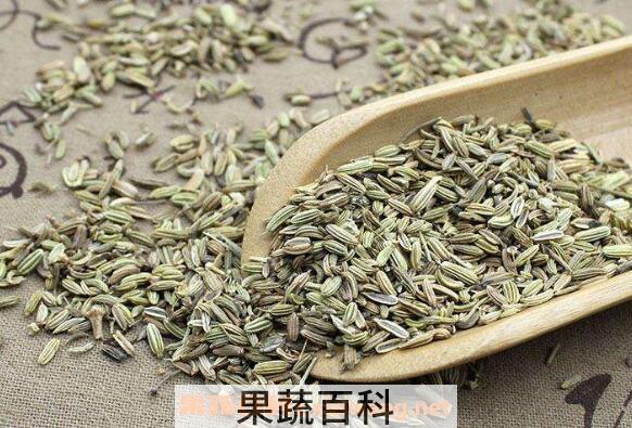 茴香籽怎么吃 茴香籽的最佳食用方法