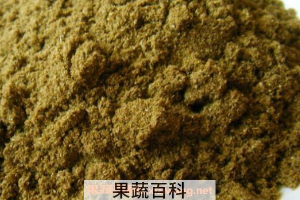 茴香籽怎么吃 茴香籽的最佳食用方法