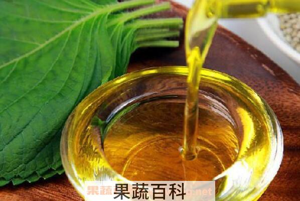 紫苏籽油的功效与作用 吃紫苏籽油的好处