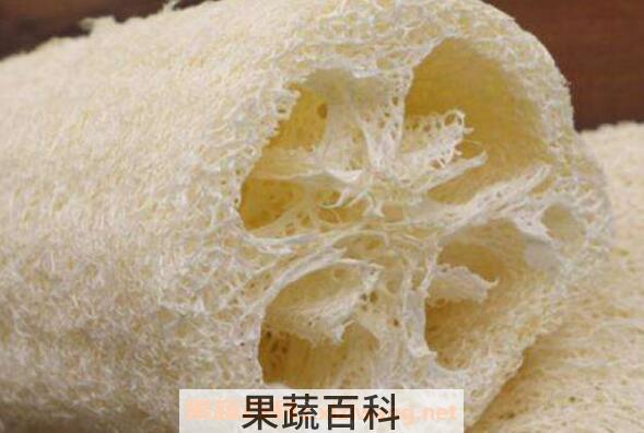 丝瓜瓤的功效与作用 丝瓜络煮水的功效