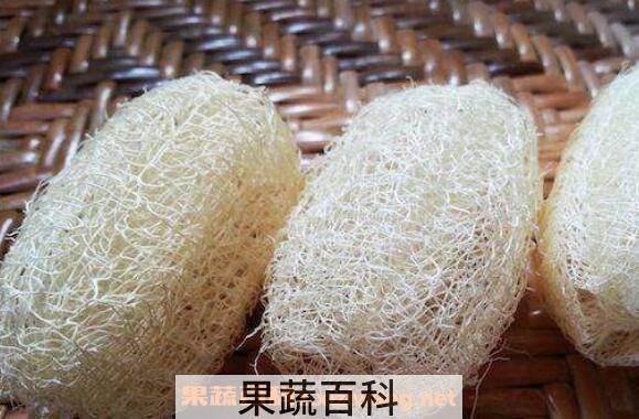 丝瓜络的功效与作用及药用价值