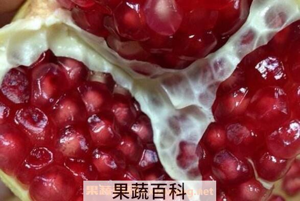 红石榴的功效与作用及禁忌