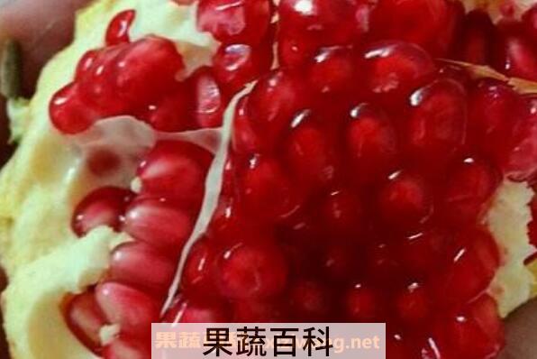 红石榴的功效与作用及禁忌