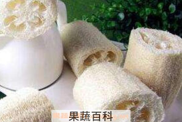 老丝瓜络煮水喝的功效 丝瓜瓤煮水喝的功效