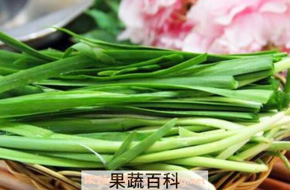 艽菜的功效与作用