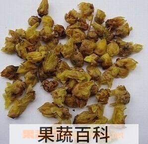 果蔬百科腊梅花