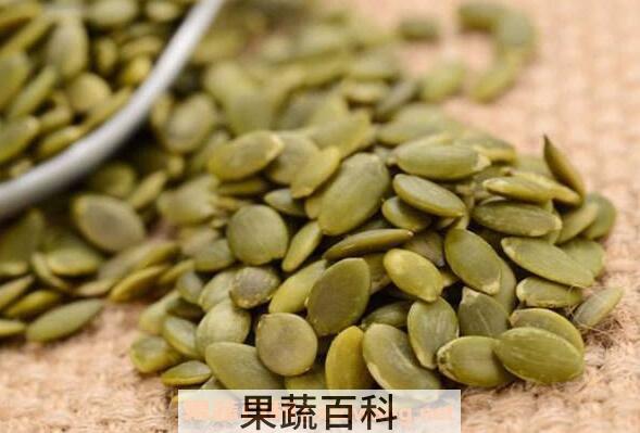 南瓜子仁的功效与作用及禁忌