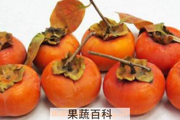 孕妇能吃柿子吗 孕妇吃柿子的好处和坏处