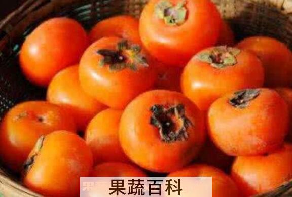 孕妇能吃柿子吗 孕妇吃柿子的好处和坏处