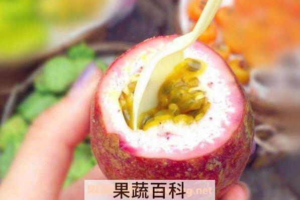 百香果怎么吃最好 百香果怎么吃才不酸