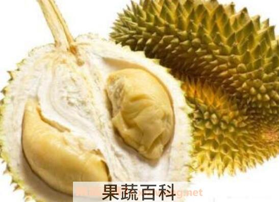 孕妇能吃榴莲吗 孕妇吃榴莲的好处和坏处