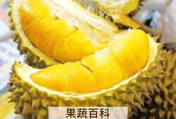 孕妇能吃榴莲吗 孕妇吃榴莲的好处和坏处