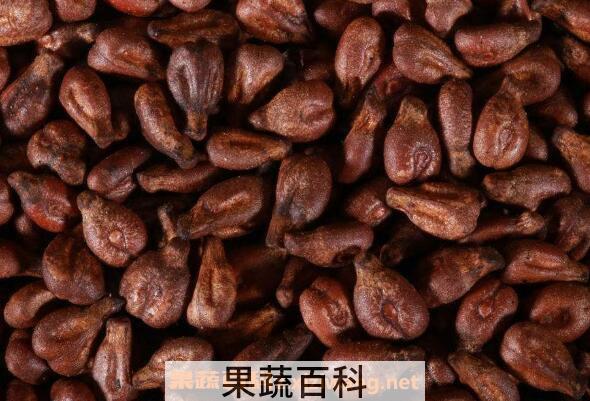 葡萄籽的功效与作用及禁忌