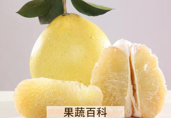 孕妇能吃柚子吗 孕妇吃柚子的好处和坏处