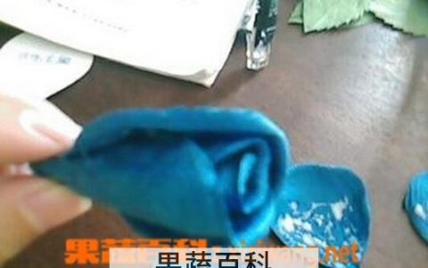 玫瑰花的折法图解简单 锡纸玫瑰花的折法图解