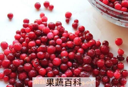 越橘果的功效与作用