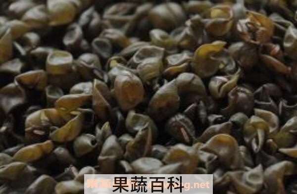绿豆皮枕头的害处有哪些 绿豆皮枕头怎么保养