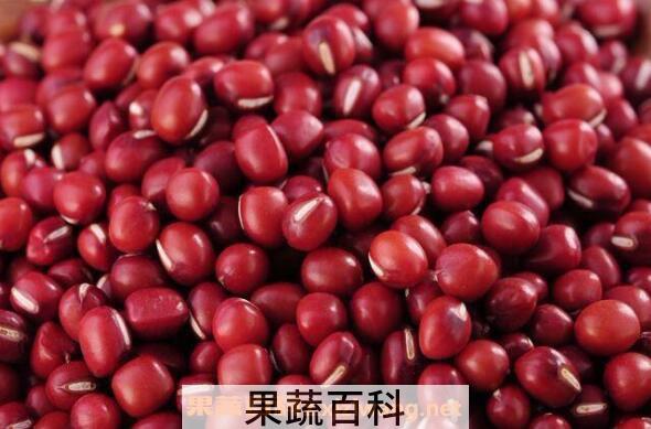 红小豆的功效与作用有哪些