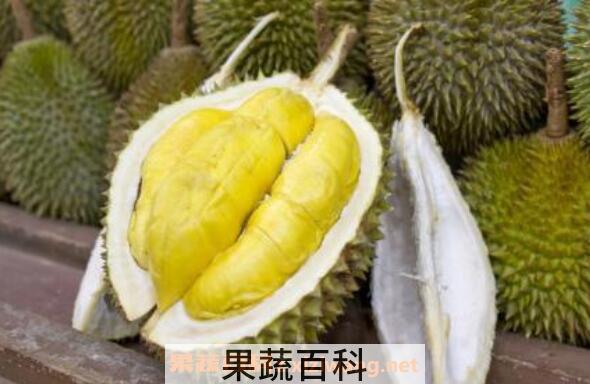 吃榴莲有什么好处 吃榴莲的好处与功效