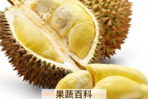 吃榴莲有什么好处 吃榴莲的好处与功效