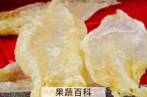  鳘鱼胶的功效与作用