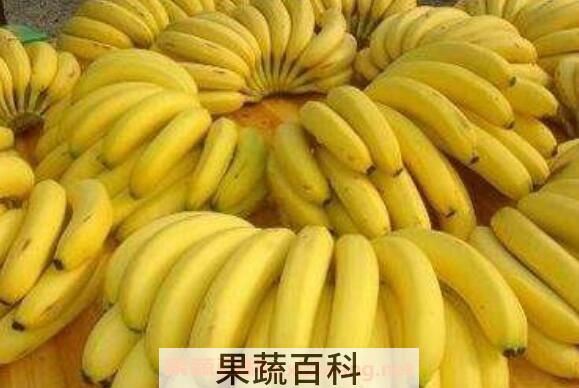 吃香蕉有什么好处 吃香蕉的好处与坏处