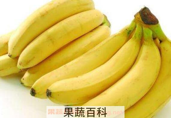 吃香蕉有什么好处 吃香蕉的好处与坏处