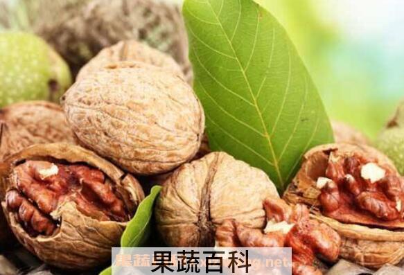 吃核桃有什么好处 吃核桃的好处与功效