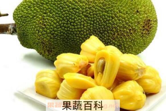菠萝蜜怎么吃图解 菠萝蜜的正确吃法