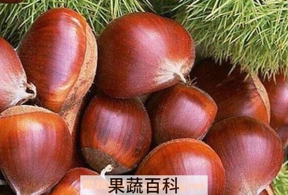 吃板栗有什么好处 吃板栗的好处与功效